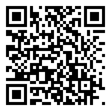 副县长个人工作总结与计划