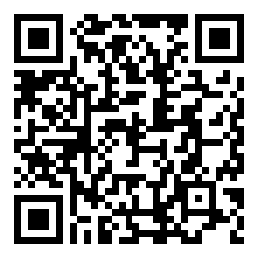 关于庆元端午节的作文