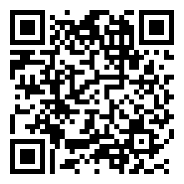 元旦活动作文800字